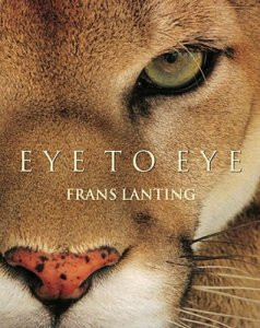 EYE TO EYE
