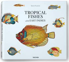 PESCI TROPICALI DELLE INDIE ORIENTALI