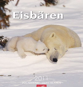POLAR BEARS 2011