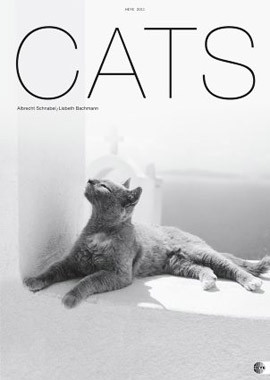 CATS BIG 2011