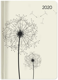 LADYTIMER BLOWBALLS 2020