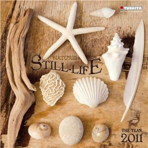 NATURE STILL LIFE 2011