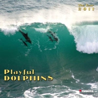 PLAYFUL DOLPHINS 2011