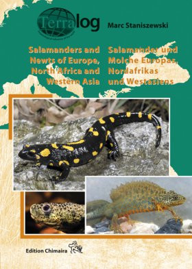 SALAMANDERS OF EUROPE