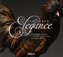 FEATHERED ELEGANCE