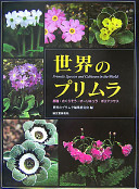 PRIMULA SPECIES AND CULTIVARS IN THE WORLD