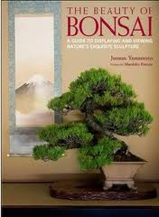 THE BEAUTY OF BONSAI