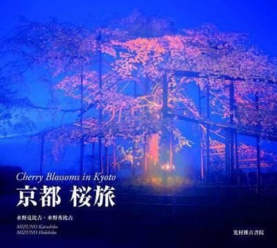 CHERRY BLOSSOMS IN KYOTO