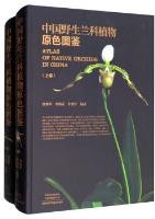 ATLAS OF NATIVE ORCHIDS IN CHINA