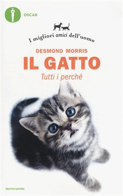 IL GATTO