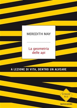 LA GEOMETRIA DELLE API