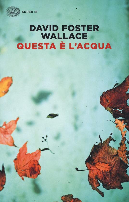 QUESTA E L ACQUA