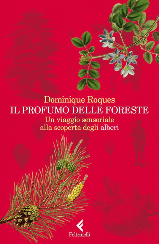IL PROFUMO DELLE FORESTE