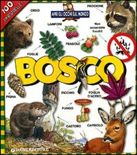 BOSCO