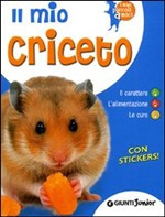 IL MIO CRICETO