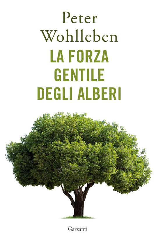 LA FORZA GENTILE DEGLI ALBERI