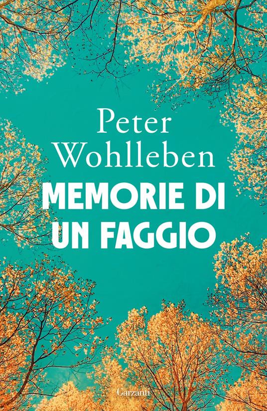 MEMORIE DI UN FAGGIO