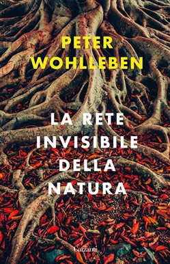 LA RETE INVISIBILE DELLA NATURA
