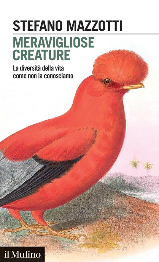 MERAVIGLIOSE CREATURE