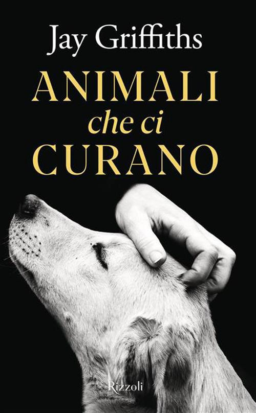 ANIMALI CHE CI CURANO