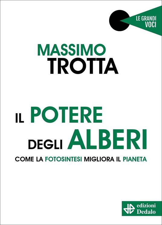 IL POTERE DEGLI ALBERI