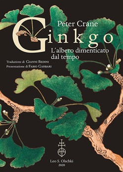 GINKGO