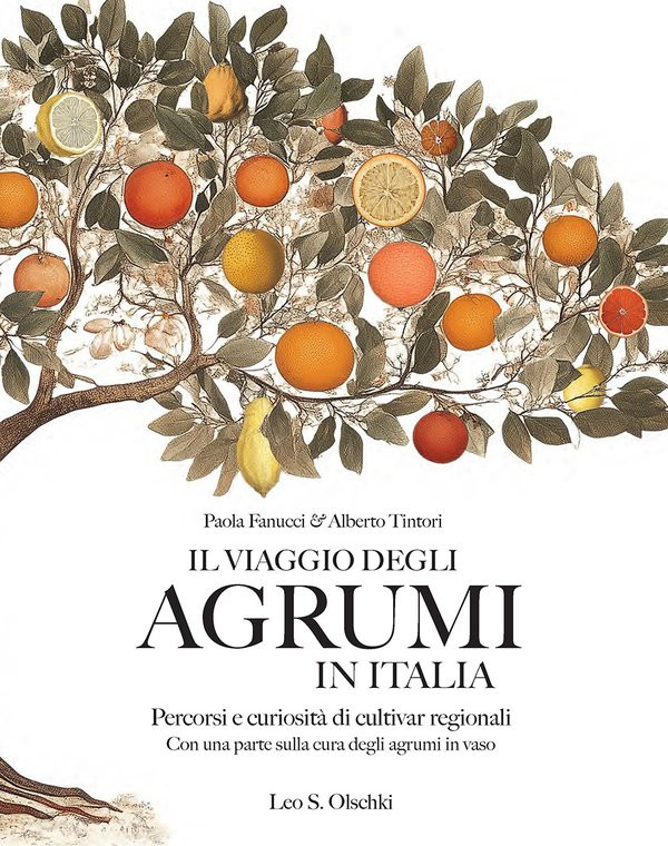 IL VIAGGIO DEGLI AGRUMI IN ITALIA
