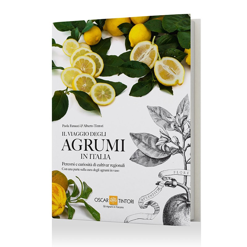 IL VIAGGIO DEGLI AGRUMI IN ITALIA
