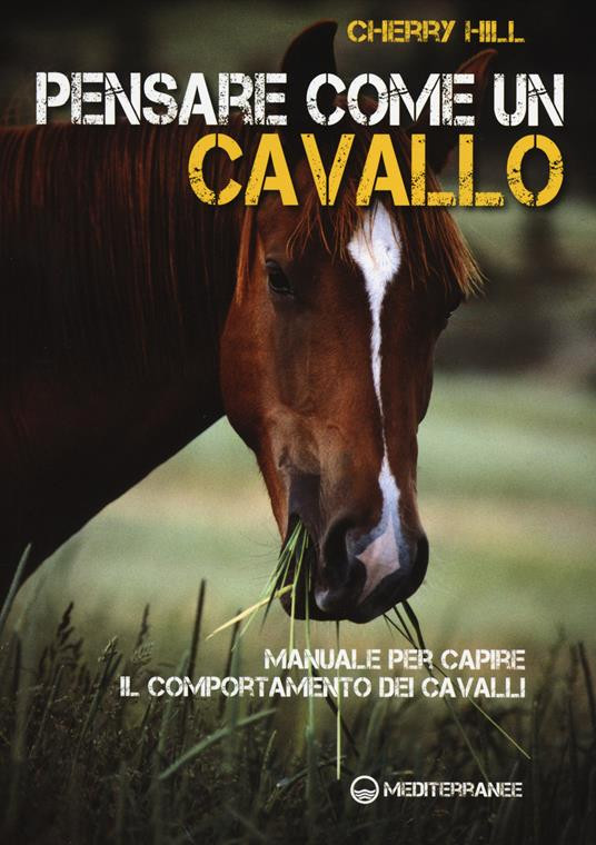 PENSARE COME UN CAVALLO
