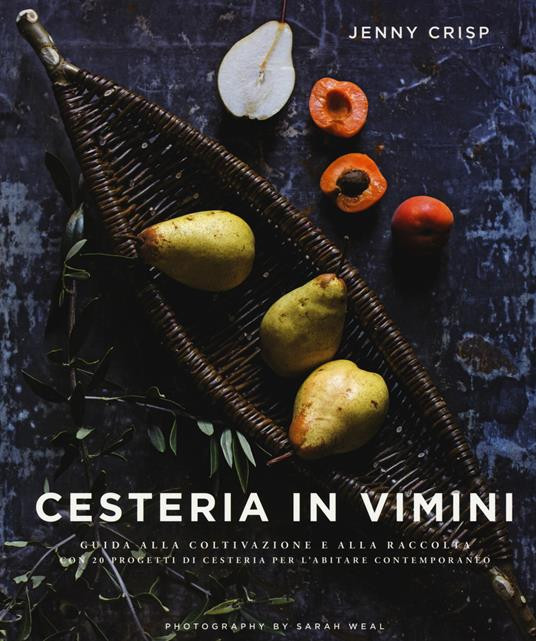 CESTERIA IN VIMINI