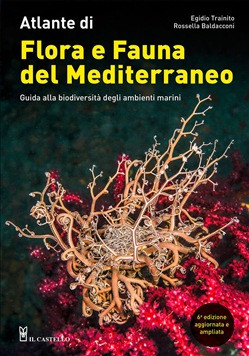 FLORA E FAUNA DEL MEDITERRANEO