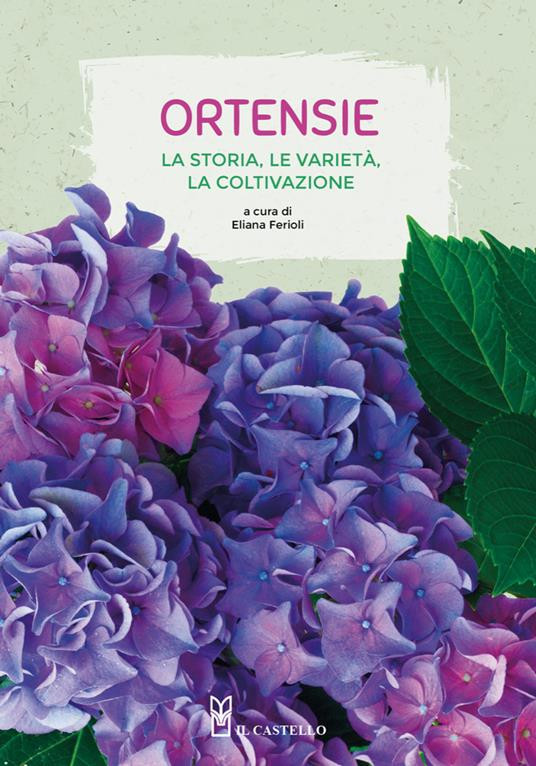 ORTENSIE