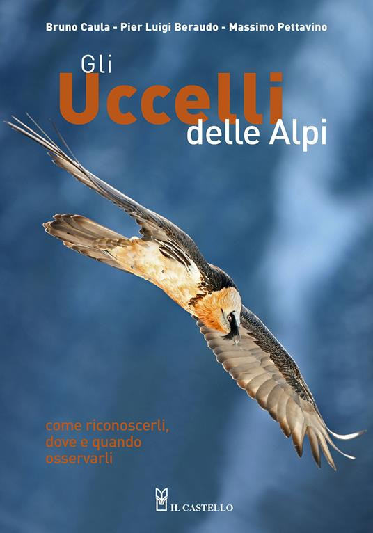 GLI UCCELLI DELLE ALPI