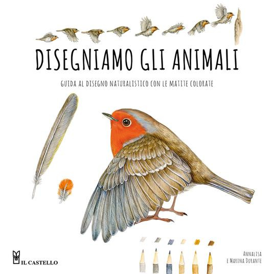 DISEGNIAMO GLI ANIMALI