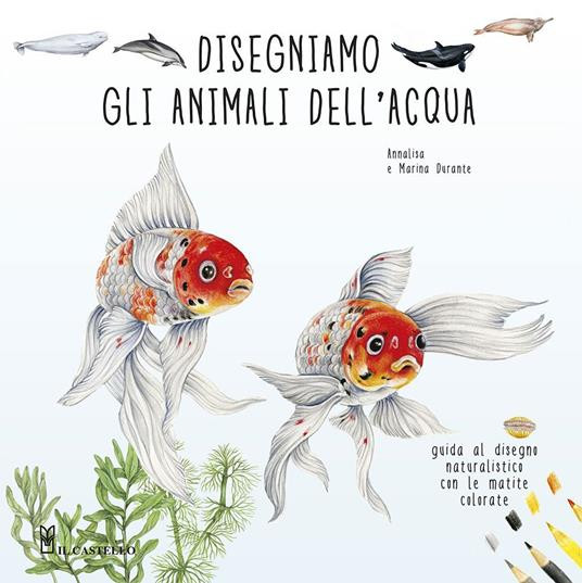 DISEGNAMO GLI ANIMALI DELL ACQUA
