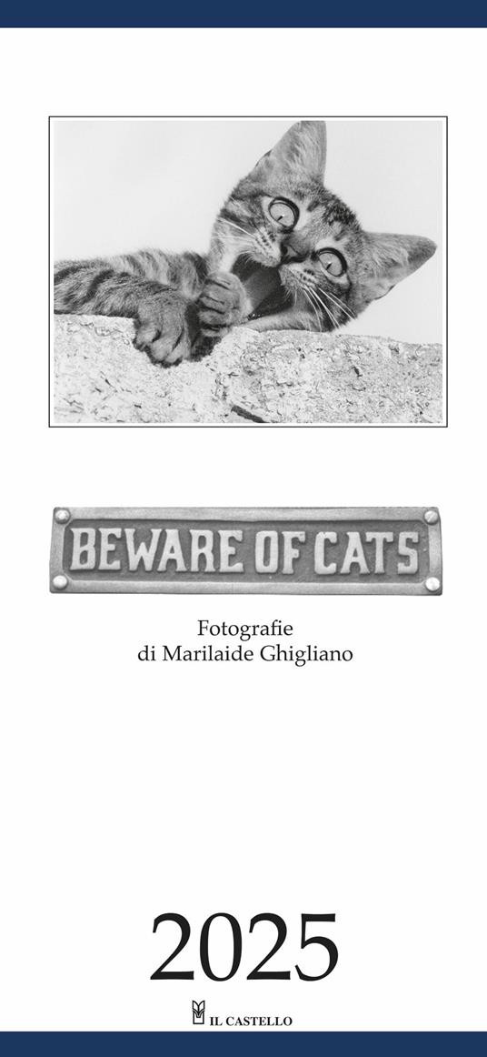 BEWARE OF CATS