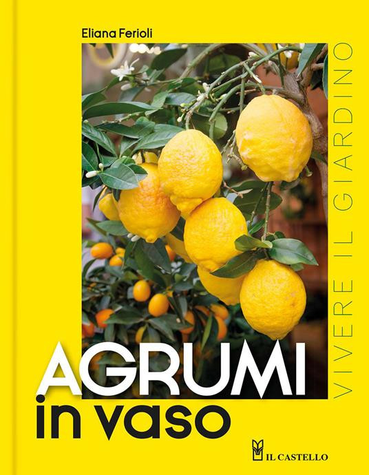 AGRUMI IN VASO