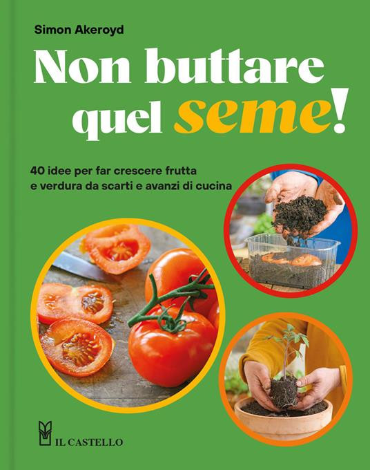 NON BUTTARE QUEL SEME