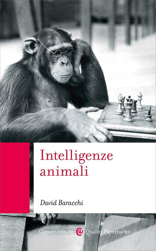 INTELLIGENZE ANIMALI