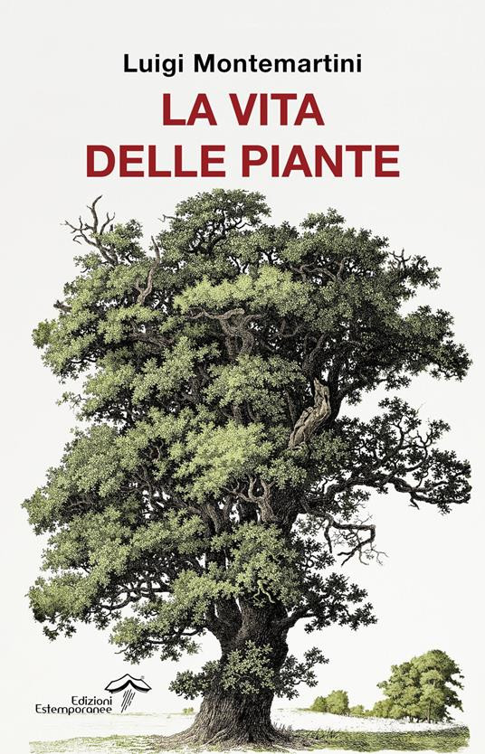 LA VITA DELLE PIANTE
