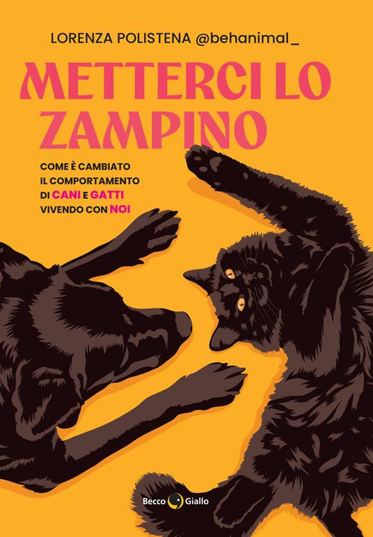 METTERCI LO ZAMPINO