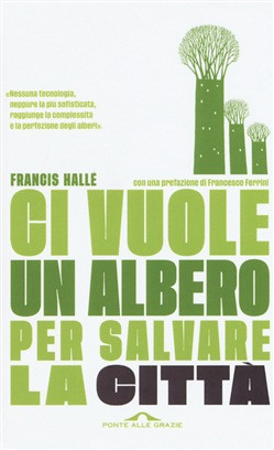 CI VUOLE UN ALBERO PER SALVARE LA CITTA