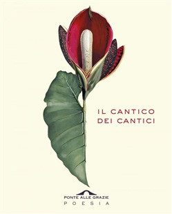 IL CANTICO DEI CANTICI