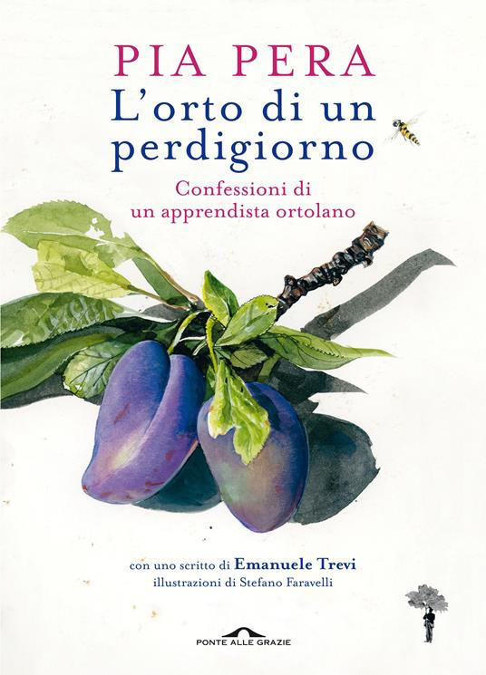 L ORTO DI UN PERDIGIORNO