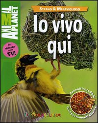 IO VIVO QUI
