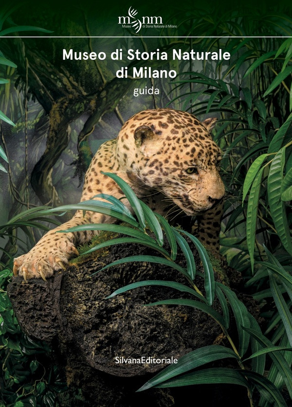 MUSEO DI STORIA NATURALE DI MILANO