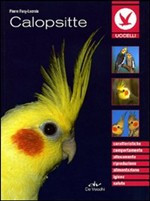 CALOPSITTE