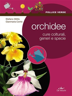 ORCHIDEE