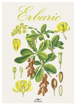 ERBARIO