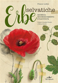 ERBE SELVATICHE
